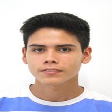 Perfil